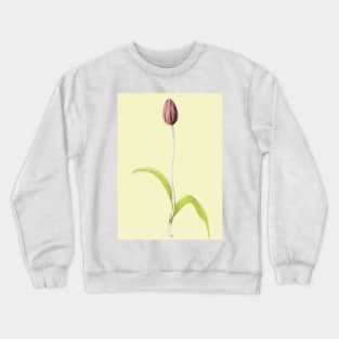 Delicate Tulip Bud with Leaves Crewneck Sweatshirt